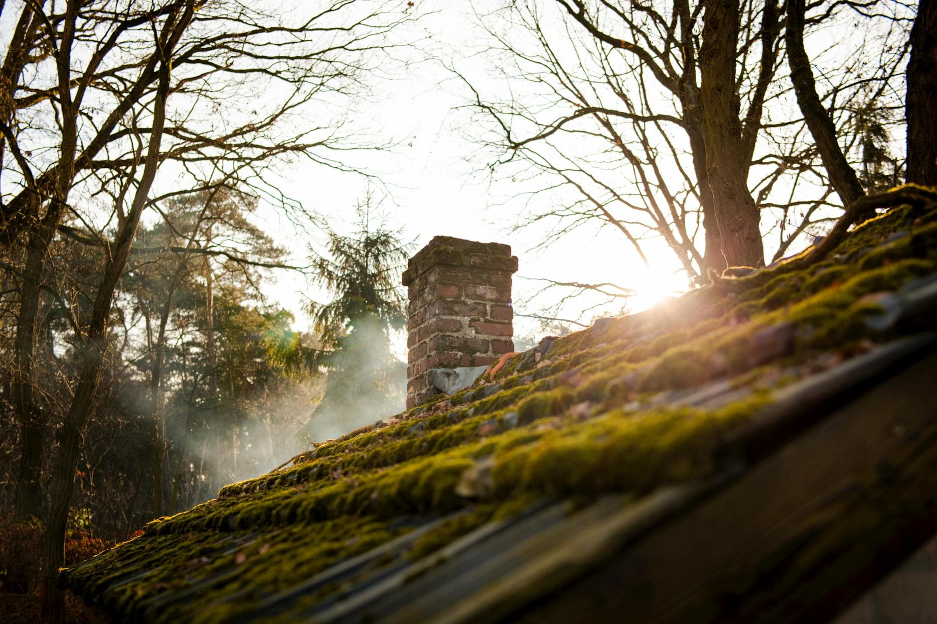 Do I Need a Chimney Cap? A Cost-Effective Solution