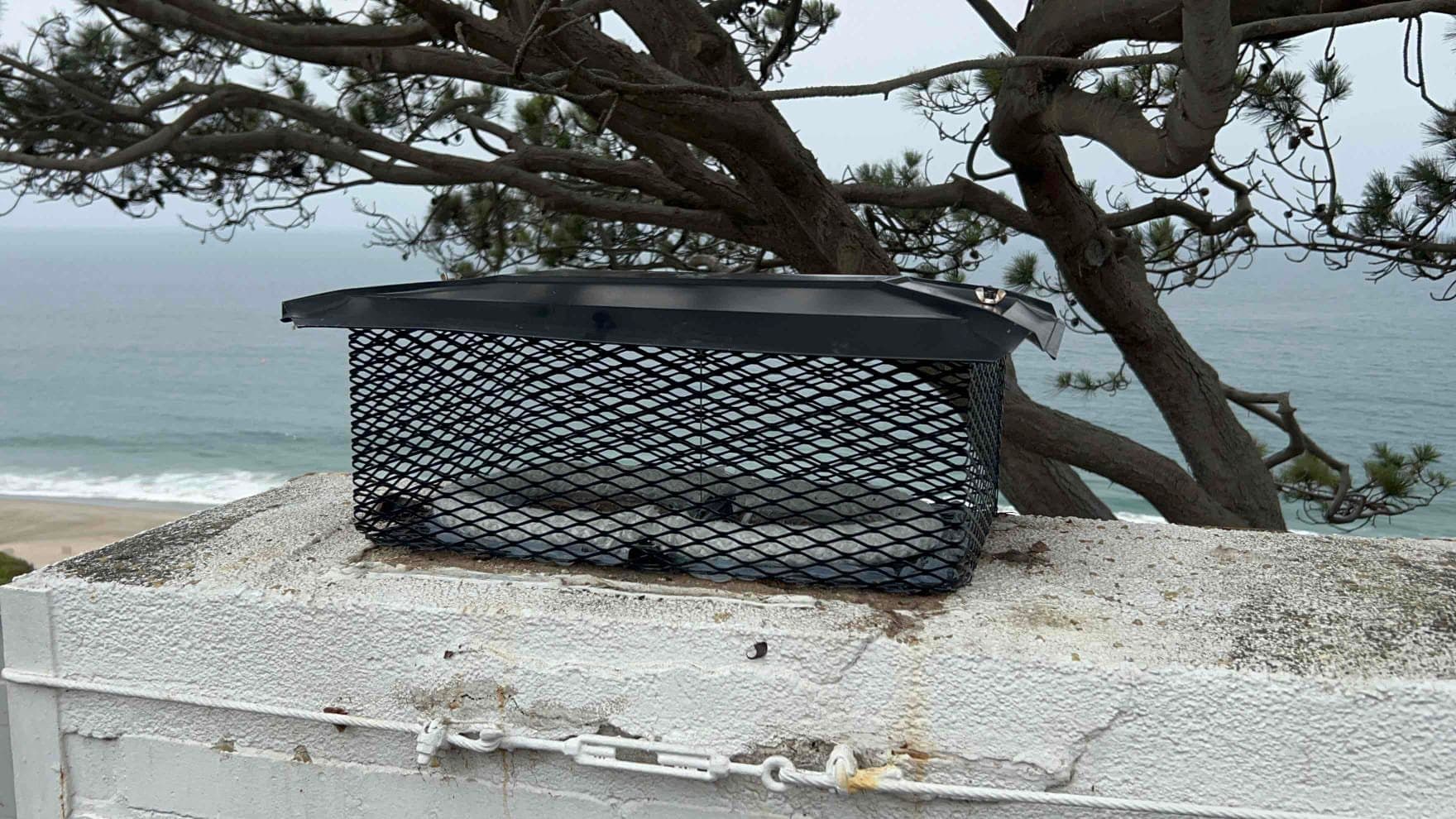 Newly installed stainless steel chimney cap and top-sealing damper