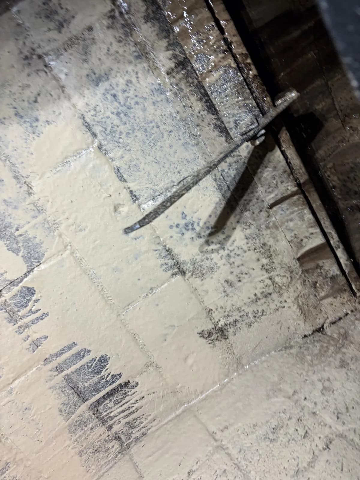 Firebox after PCR creosote removal treatment showing clean brick walls